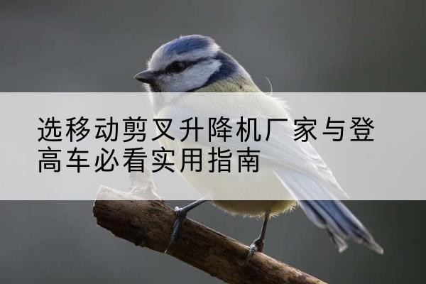 芦山电动升降机厂家-选移动剪叉升降机厂家与登高车必看实用指南