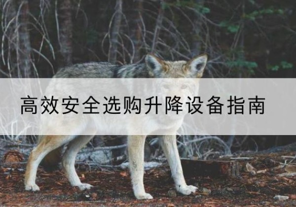 芦山升降货梯厂家推荐-*安全选购升降设备指南